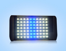 Blue and white LED flood light